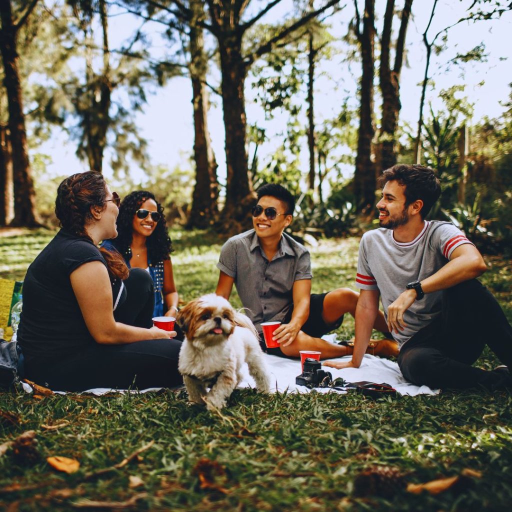 people chatting outdoors in the woods on a picnic blanket